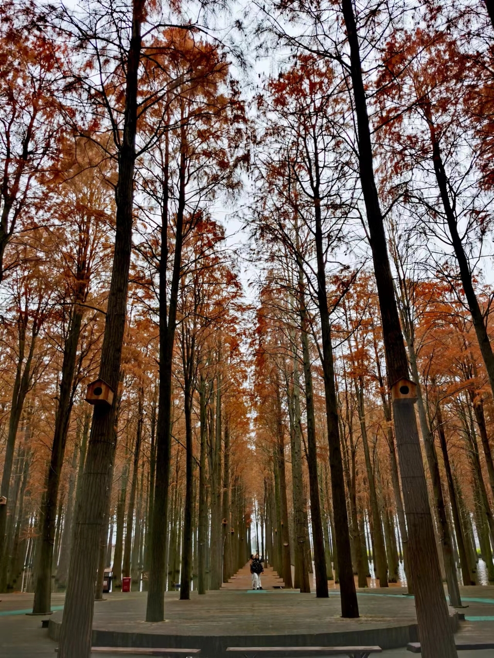 mjYyE6DaB0KLsKBXX1VRKxx31jKReighwp2kwJfyYaanxnETFli0VHt5bLetK2BW