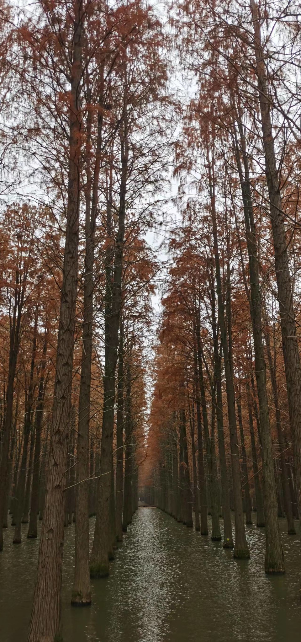 mjYyE6DaB0KLsKBXX1VRK95sq1MAG-a_1P42hBHLUzGKFXUnERPx4HpwZqEix5CJ