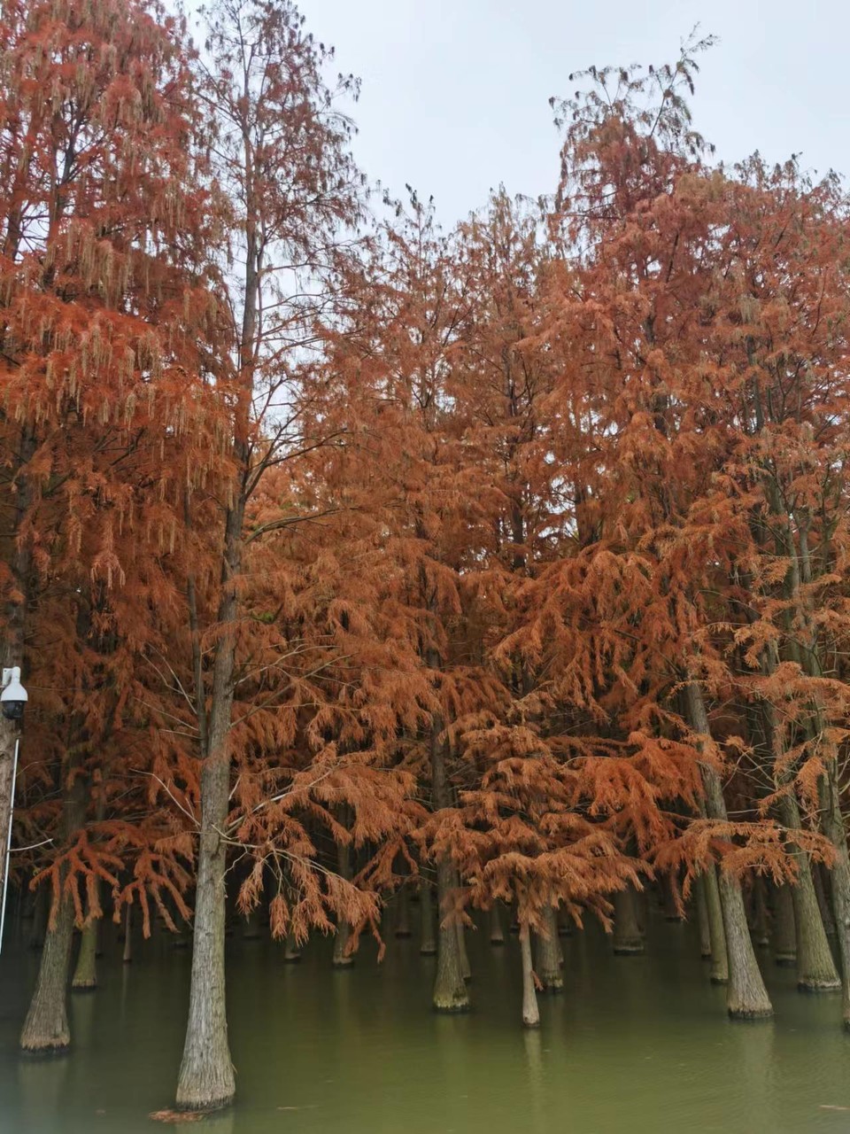 mjYyE6DaB0KLsKBXX1VRK2GbTqU_POcpkHjVl9T--ZEGF4URW5dBH_12LSUQm3CU