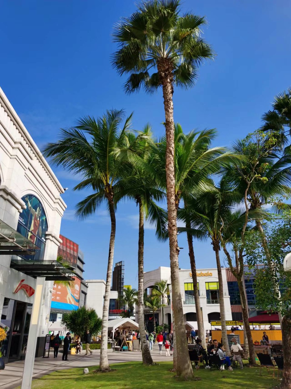 Jes4k2NFN4oGWSyyCsQ58lMXD062F1PY2crh91Dk_dJtGEja_80c5htInv0aE1ux