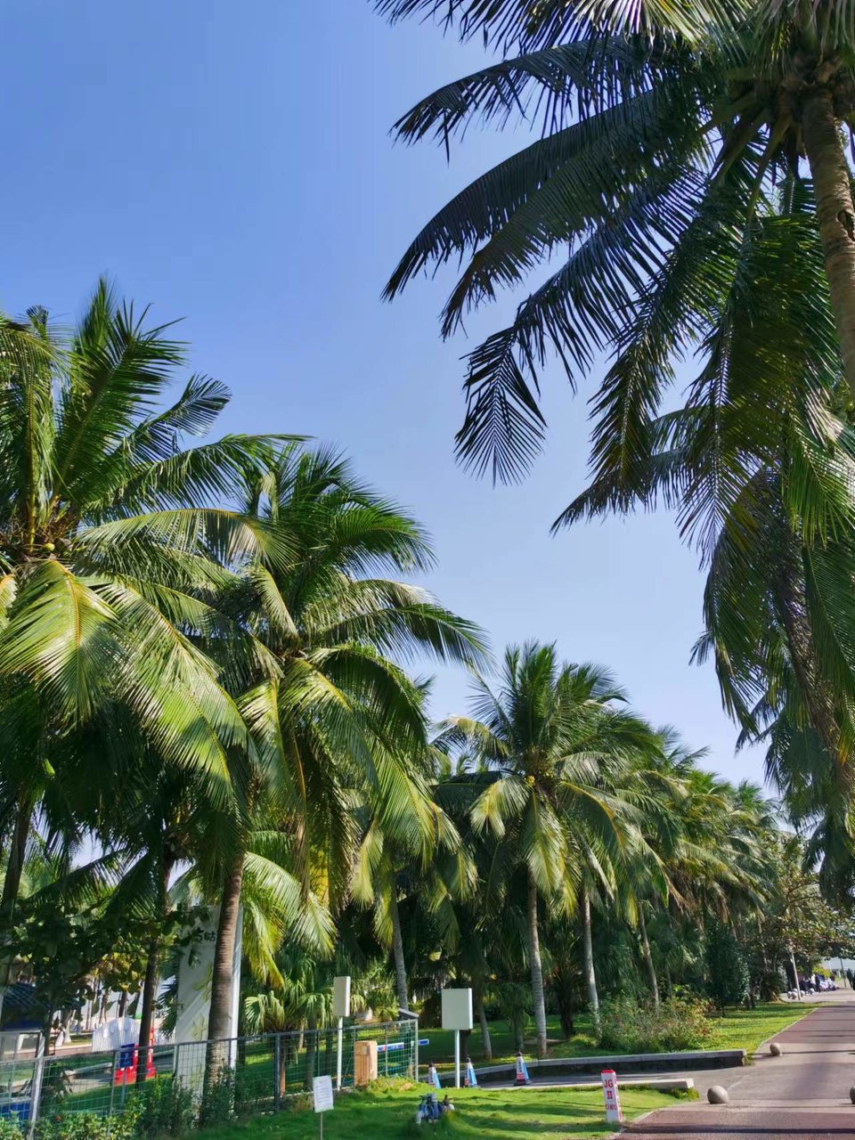 Jes4k2NFN4oGWSyyCsQ58sTiMhqYKmxR_mlmqGLWx5wh5dicFzUICvUJDeL3UzxB