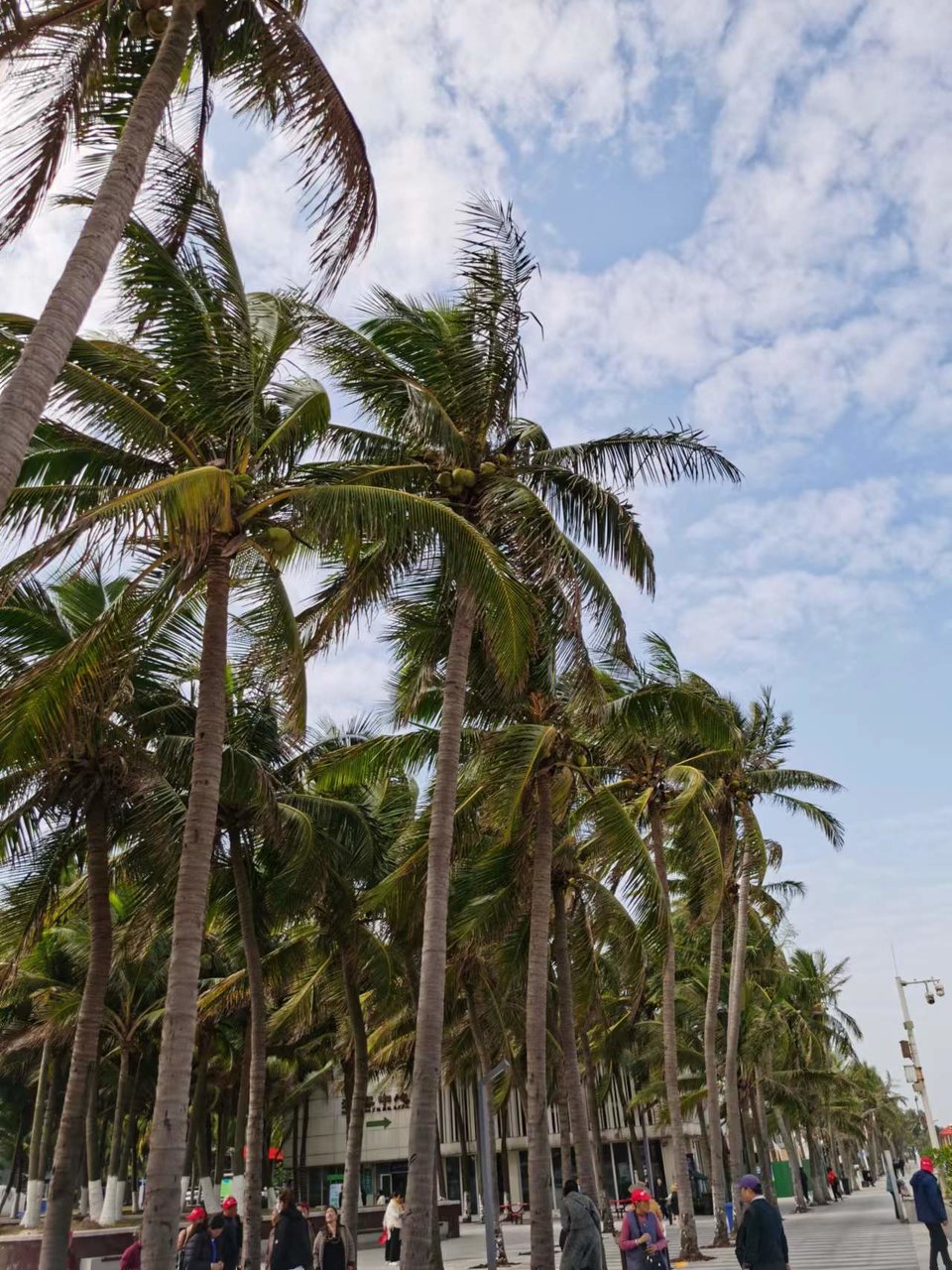 Jes4k2NFN4oGWSyyCsQ58o4mxqbjZyR7IxhSDAjBCJQyQqv102ZeabUZ6lqAiC6k