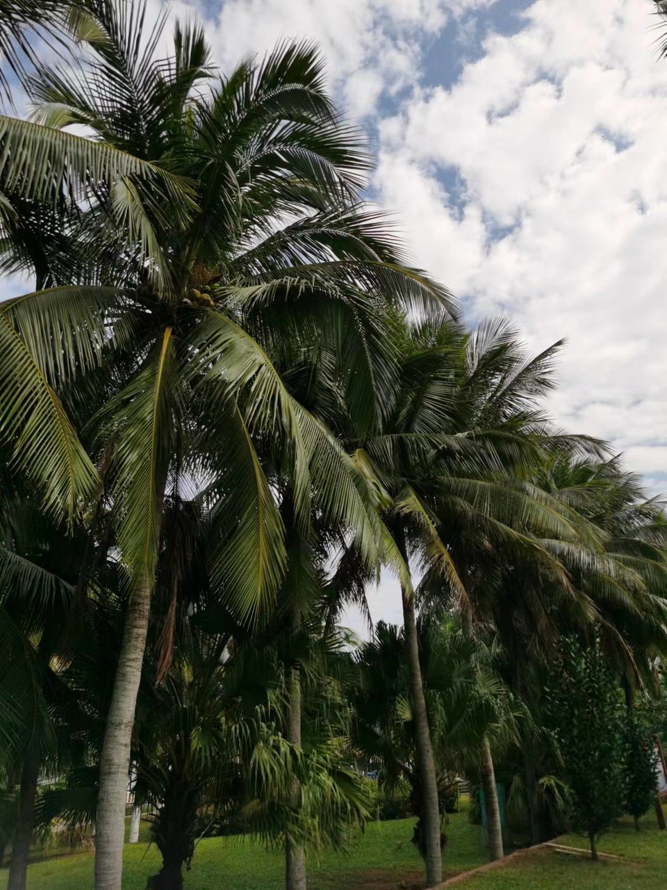 Jes4k2NFN4oGWSyyCsQ58stRQSHBkasUX_B2ldeWwss3VZ4XyiPLrLZzq07TdfRi