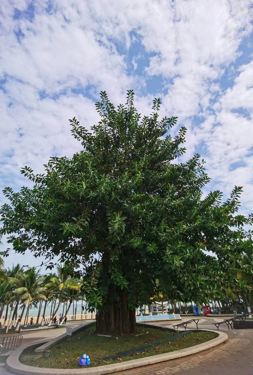 Jes4k2NFN4oGWSyyCsQ58qvuSFINV8Qqnq4nOJ9WZHrCite-ab12CSyY33CiPxqD