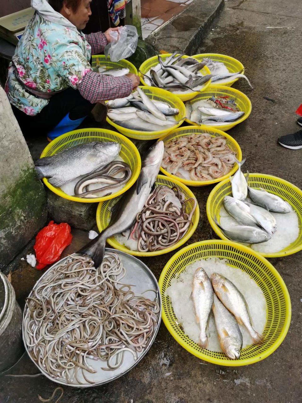 LxqNB3h6vtxiVc0rr39YwcO9ZiPlF2IMXQZ3S3ACKGfzwPHNWZLd9lExeuTFe9fF