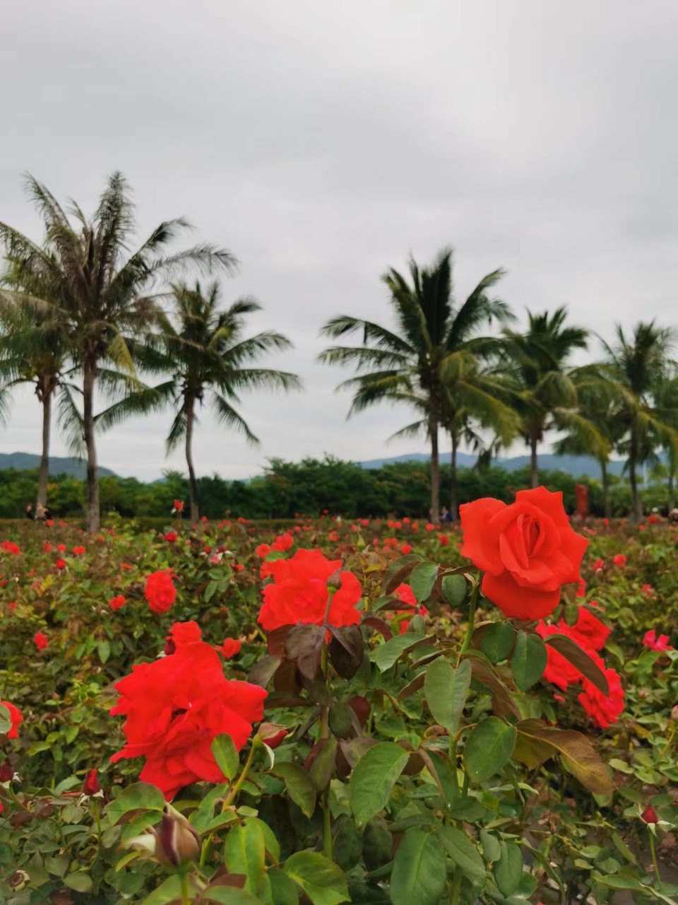 LxqNB3h6vtxiVc0rr39YwQ6NTJL1YXyQw1zh71He6Bt7-LB-oFayRT_v8cqZqUWl