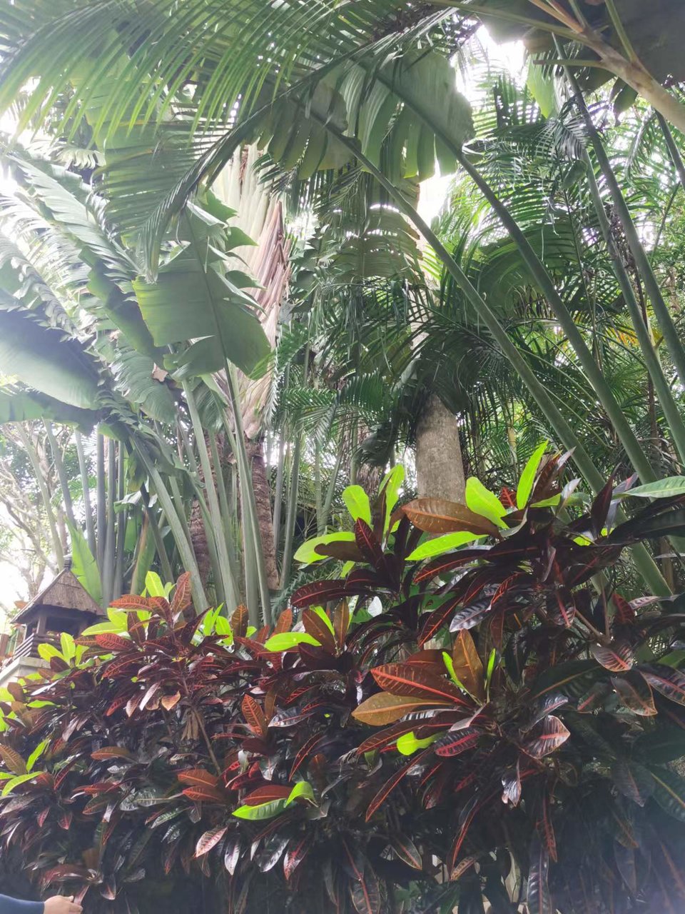 LxqNB3h6vtxiVc0rr39YwXooxVwT6vu5p4-HBgF4pL_oPd2Rs62VC_qSePSSSt0I