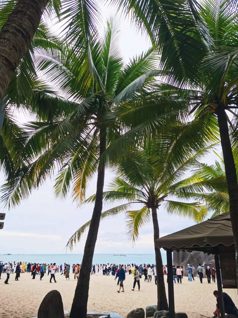 LxqNB3h6vtxiVc0rr39YwcEJrztah7QCRgx90XbcyBe3mg6Bl8jT4fu2P-YIjusy