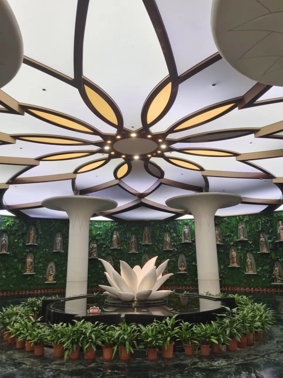 LxqNB3h6vtxiVc0rr39Ywd6-GRVda9Y7GftgW7688OMM7Pt20Yb2xxLtiJWIkzKV