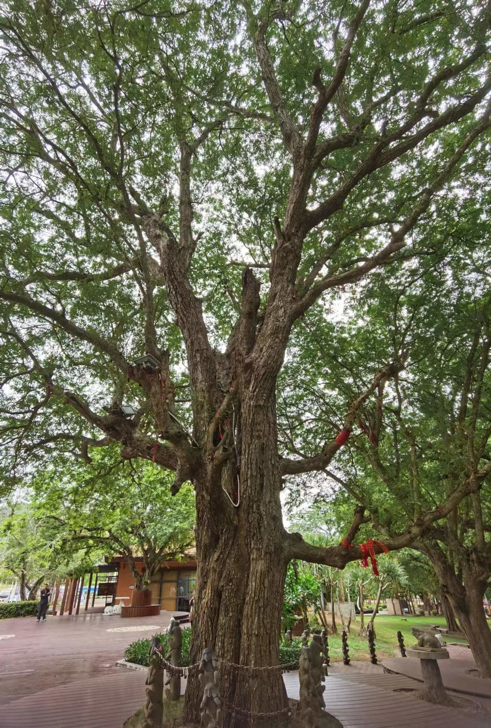 LxqNB3h6vtxiVc0rr39YwRWoyvVnmz_4ZRSsvHxKawPi5yIyPqaslZaDewy12TvD