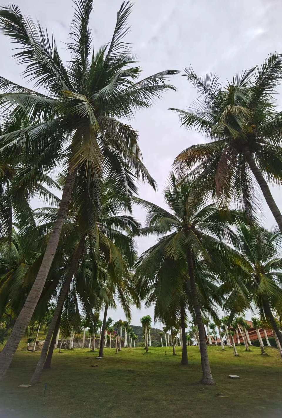 LxqNB3h6vtxiVc0rr39YwZ6dtt-08dy94GvKasnCJ5aR0D3QwRoNzPwU8SBDN9Io