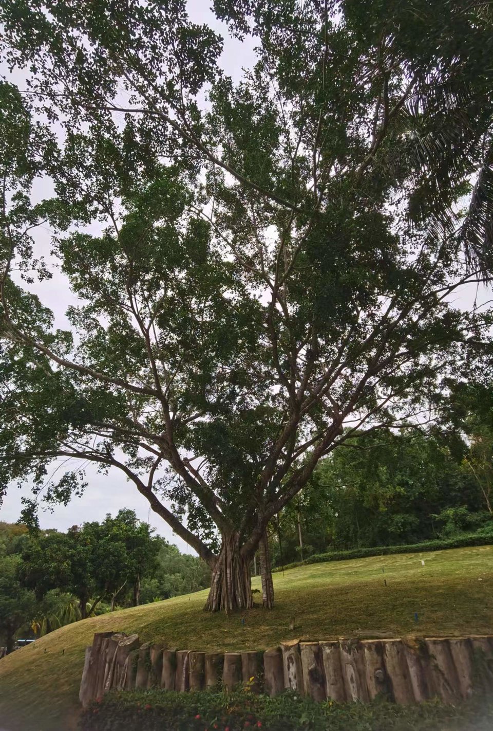 LxqNB3h6vtxiVc0rr39YwTOZonCARHbqEeCQ6iHeq2BeGtJkkNu3Uz0iGEvZERRp