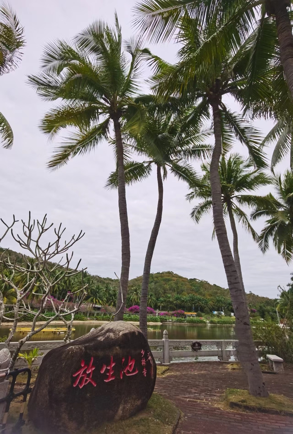 LxqNB3h6vtxiVc0rr39YwYmuCfN9eyrDOkqPzay_FJrHdSkiX7vKnM0RN3TkaiIt