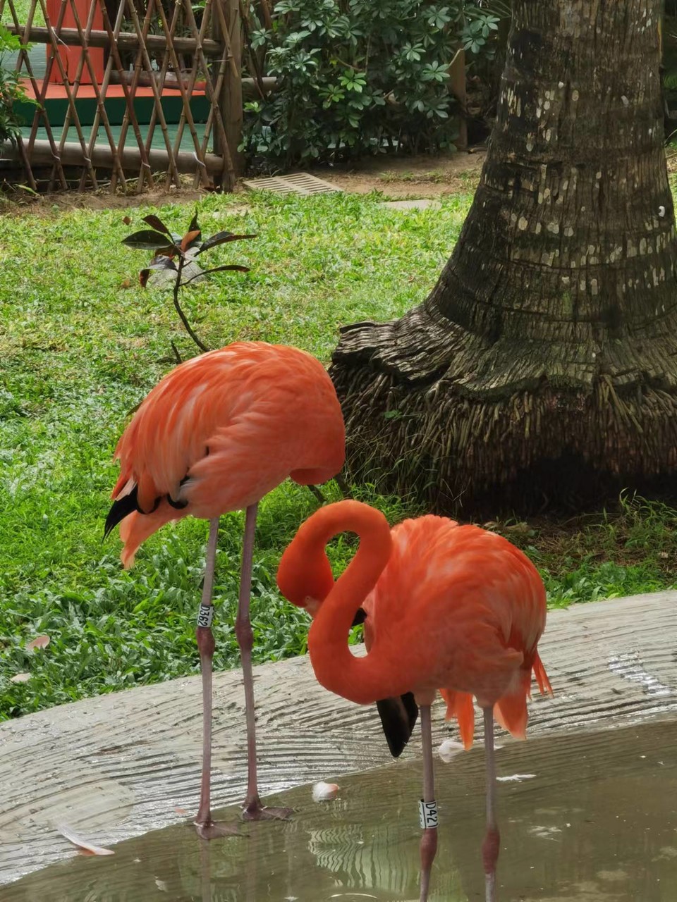 LxqNB3h6vtxiVc0rr39YwbQcZ6iMVgrOc7R2r4mUkxhscX_n-Ur69mB5j38gHU8T