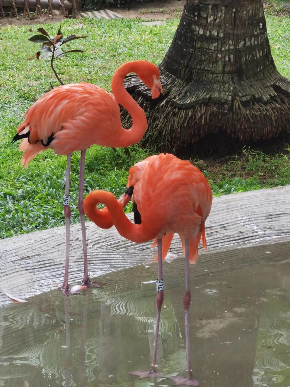 LxqNB3h6vtxiVc0rr39YwUAzkMdBh3W5a_xOg-szYctFy1thYv8UBNh2xV9crgaQ