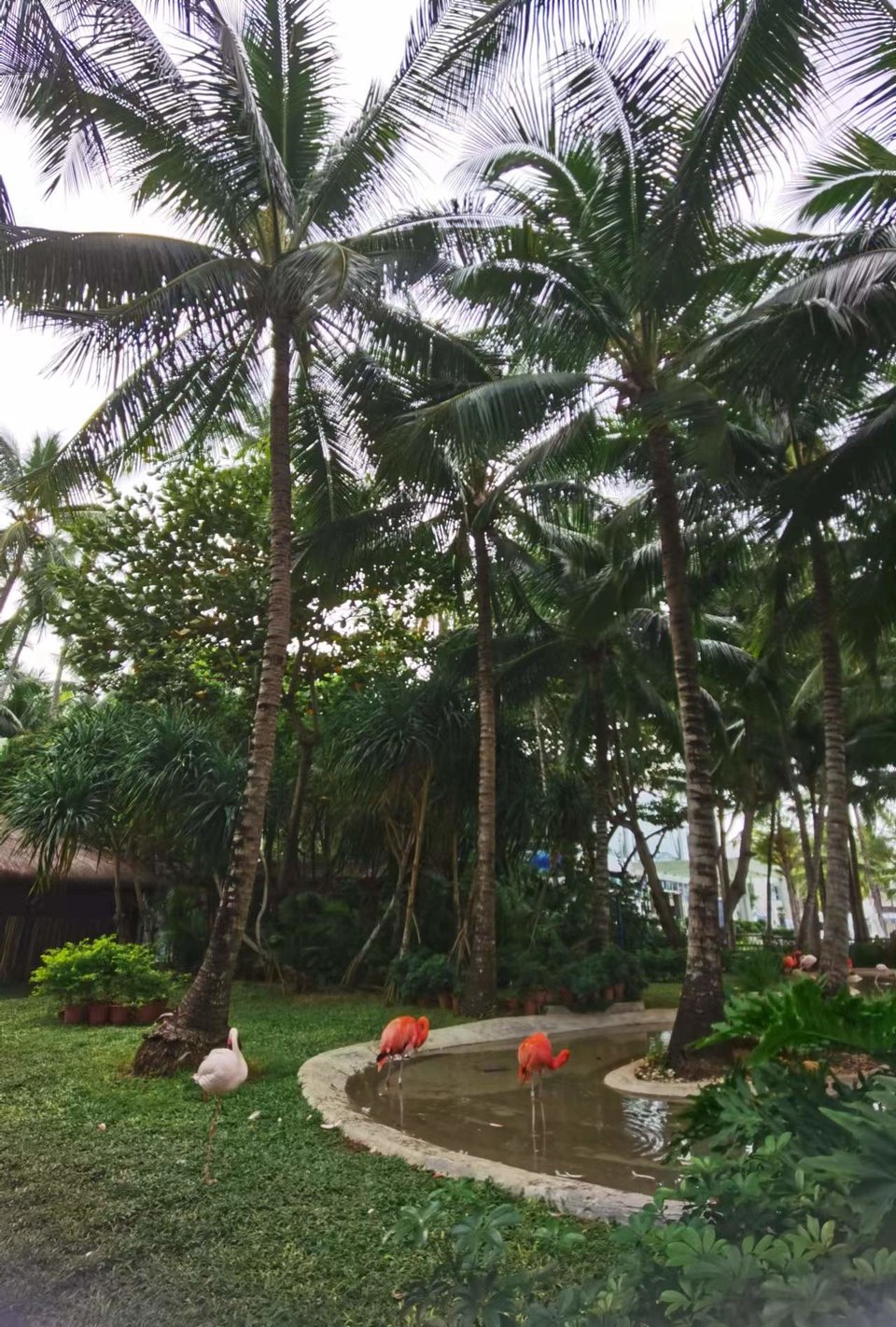 LxqNB3h6vtxiVc0rr39YwQy8L5sfa-oEM-0xloz5uFxLtl7vtF0WLfUGLg5WEX7F