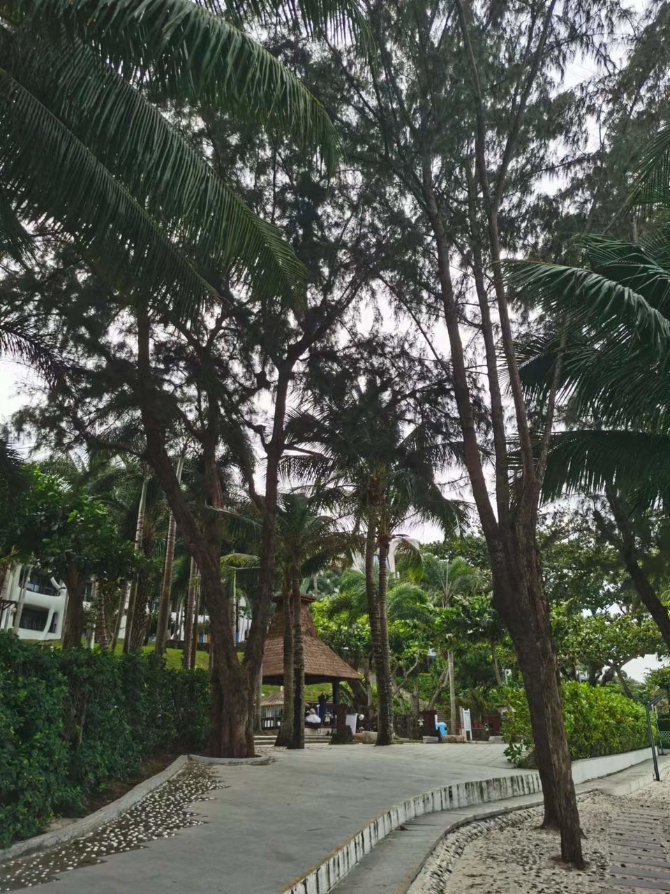 LxqNB3h6vtxiVc0rr39Ywcn4tHUo4T1w67lR4BSAEhiwKn2jAw5cG3XnKiFxy_9D