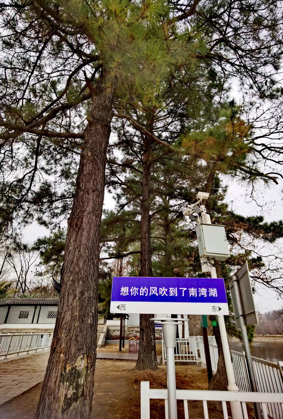 Np62DqyQbnNMTn_2IvOle2FQ3BCttjuZn8pAFytvmHA5mBx73ZZsxkx0H4HldgGY