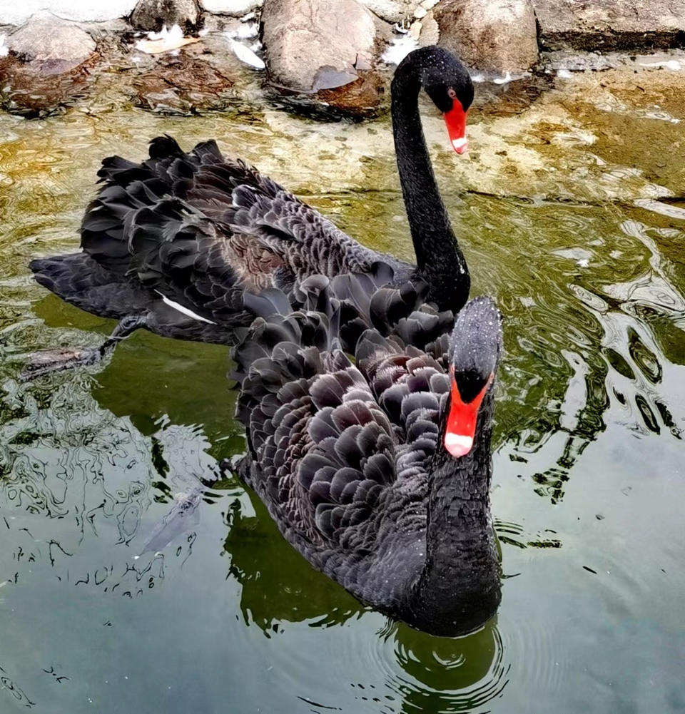 Np62DqyQbnNMTn_2IvOle4qDiXO9lvtHoUblJydW88beTm4ktrgk-DxLLvPsHV_G