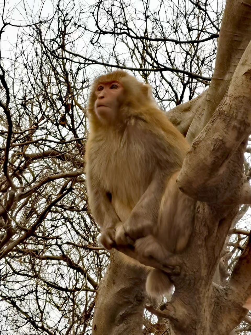 Np62DqyQbnNMTn_2IvOlexhbmgrS5GshIrRGASoRMNKMvm0lhd1r7rattjOsHxEJ