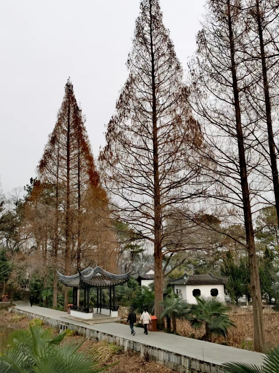 Np62DqyQbnNMTn_2IvOle9hNoqybRSIqmkiv-V4WXp8pxqkq-tWveLtqdxO-JVAO