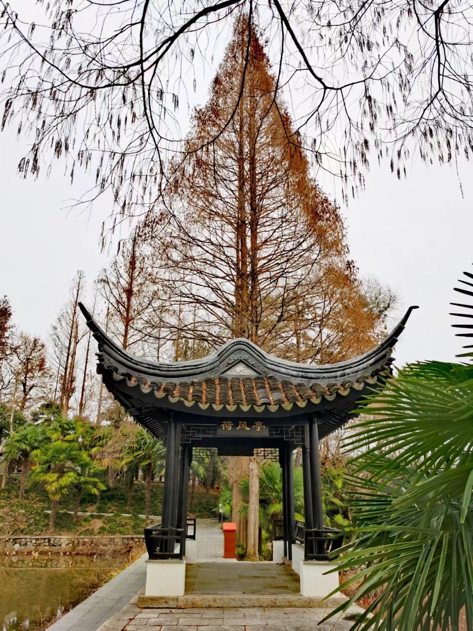 Np62DqyQbnNMTn_2IvOle7vqiQxrnLebV0rUzcoGhbcg8iVmAYcKIJF3ne_udyXc