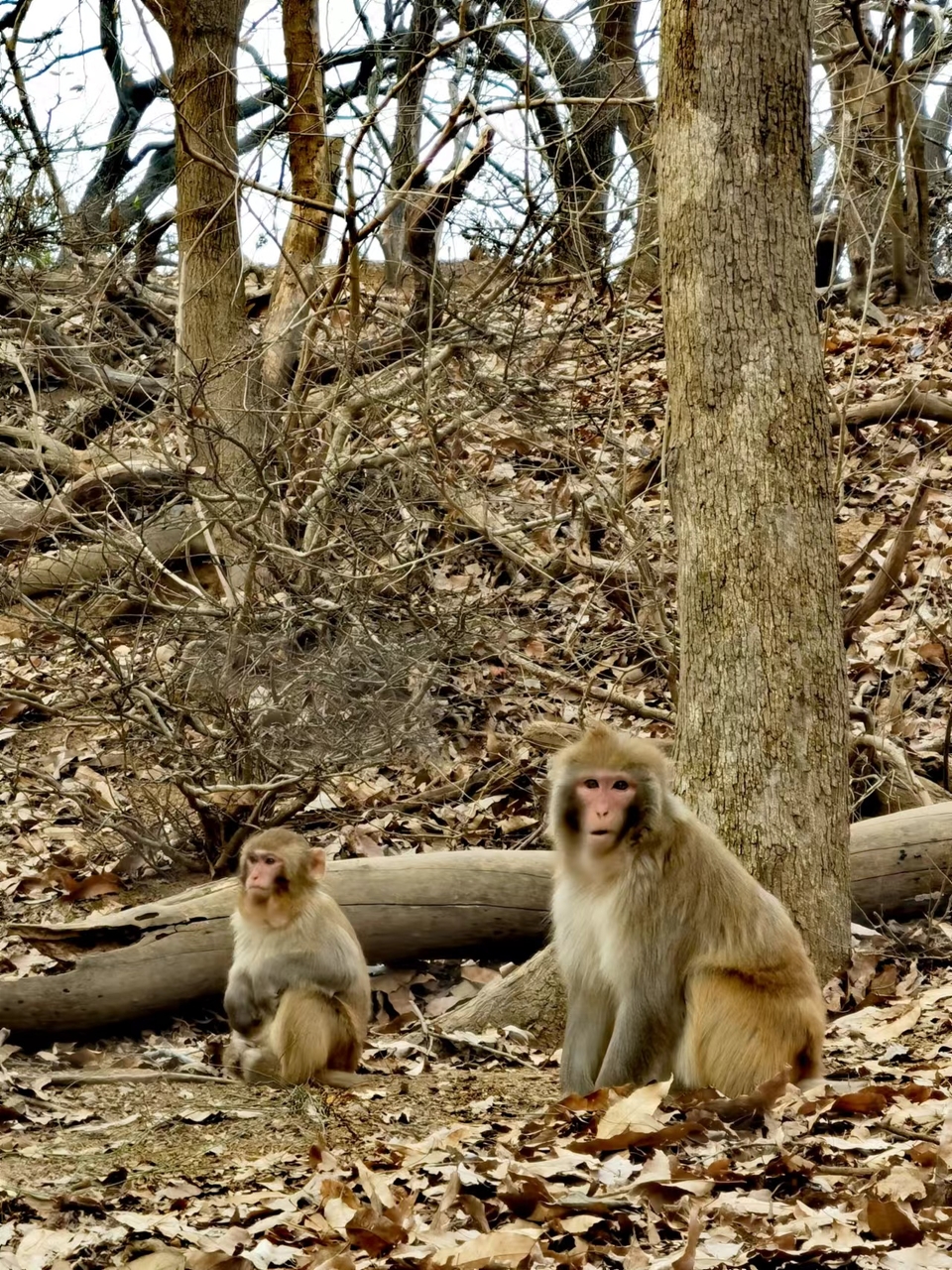 Np62DqyQbnNMTn_2IvOle_VISThHrG99JBiXzrpExKUL87z8pP3a-R9fVYf9eCNb