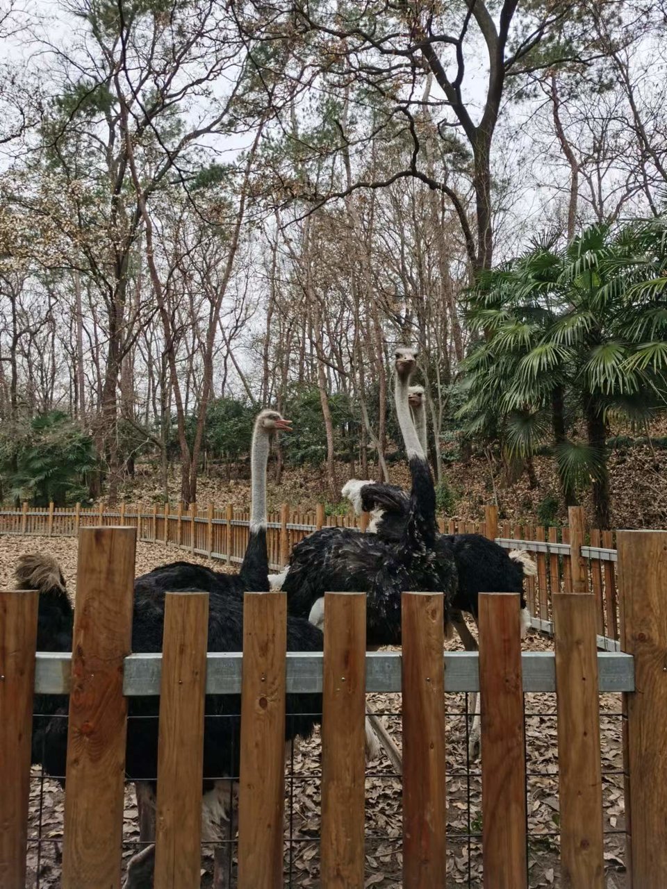 Np62DqyQbnNMTn_2IvOle_nWXyp5KJ2fCvXoSEZq4NLpWrPMk4bSGDZ91fTzzoAX