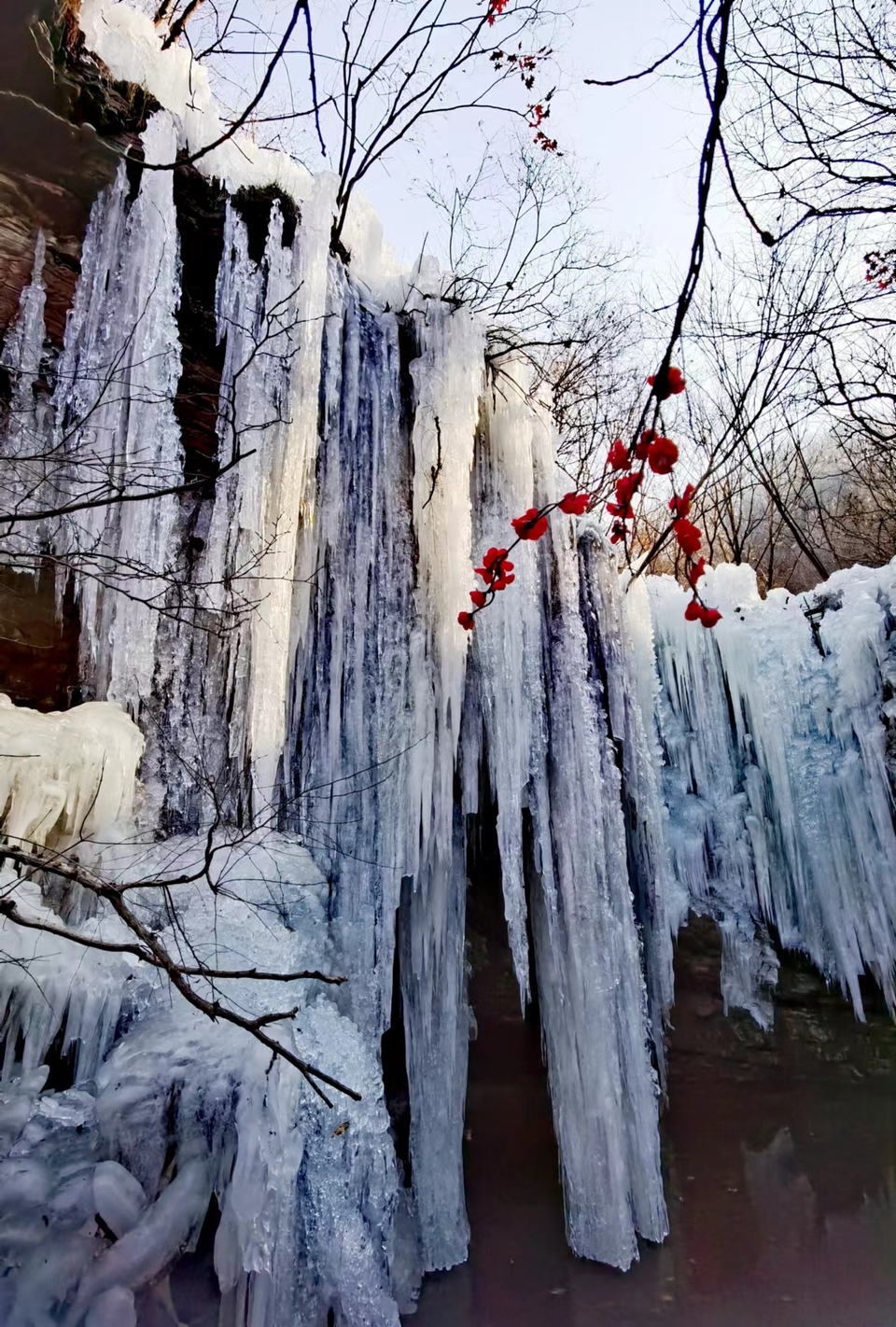 Np62DqyQbnNMTn_2IvOle6jCehKv2nQkJ6BoRnPPzjJ7fYWfIWnzQaLQuFY8W83S