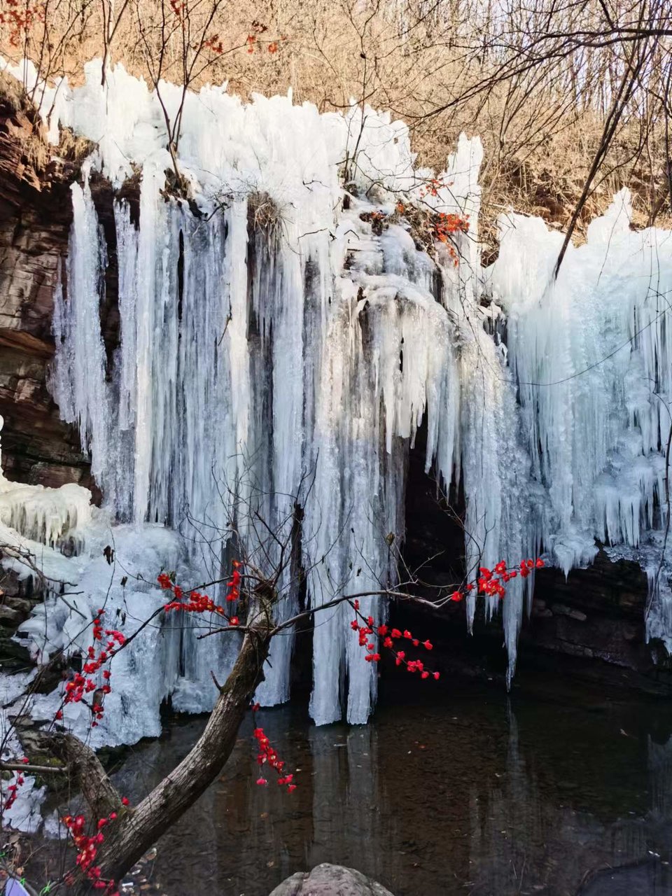 Np62DqyQbnNMTn_2IvOle-u5Hw0055VTz8Ny6itTbLiWmDuAVRVG-aRSVX0JZ5VX