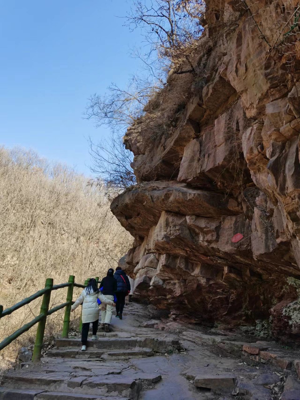 Np62DqyQbnNMTn_2IvOleyXusGjmFglzmUlefIOVwCIcoTMU5hVvOt3-Rx9jl4aT