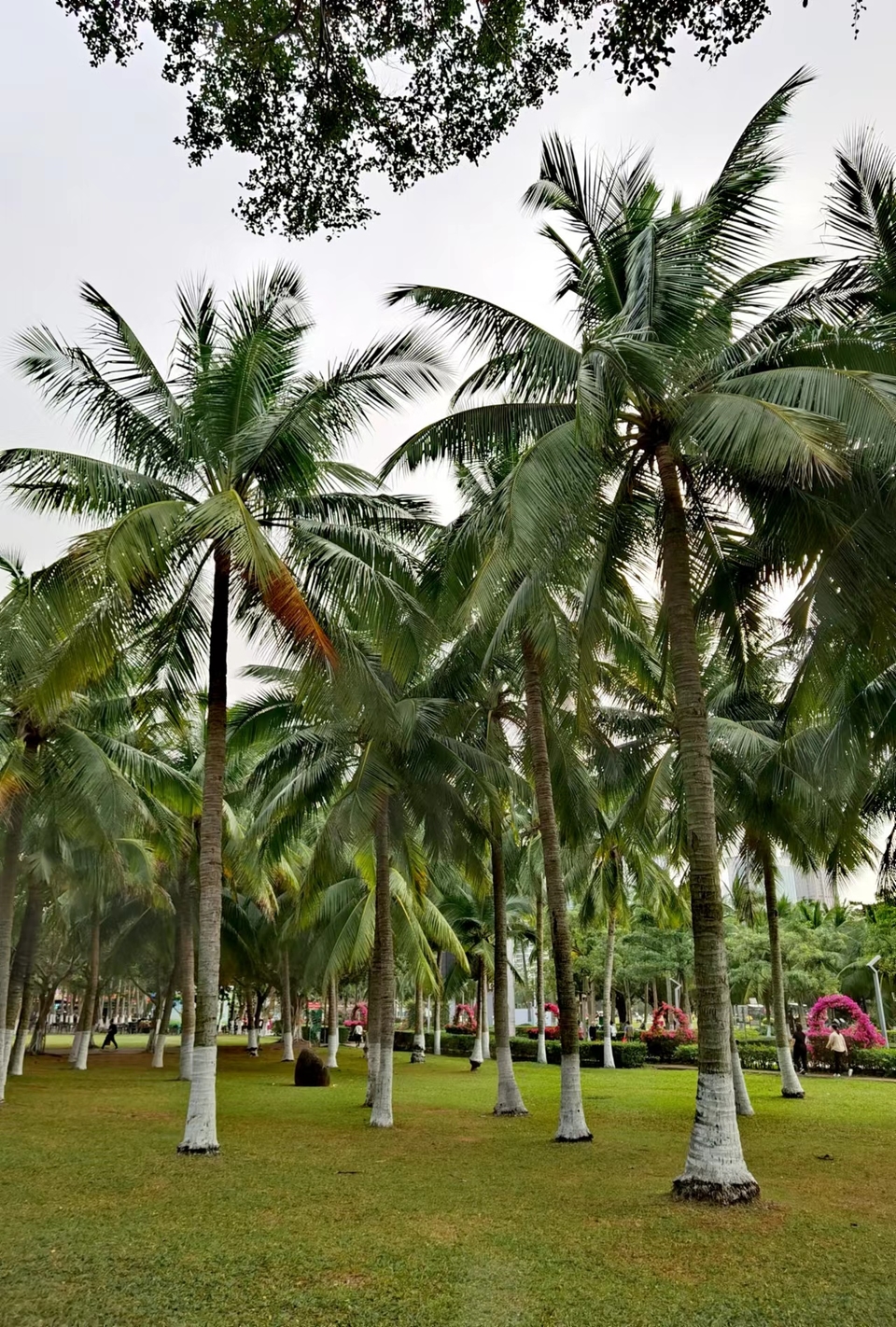 JFUmd40YugPeNQcIF0eD5ePQUYS0yyMBwAO8KAQFvuEa_eZrCDi1PSt7gBmNNxH9