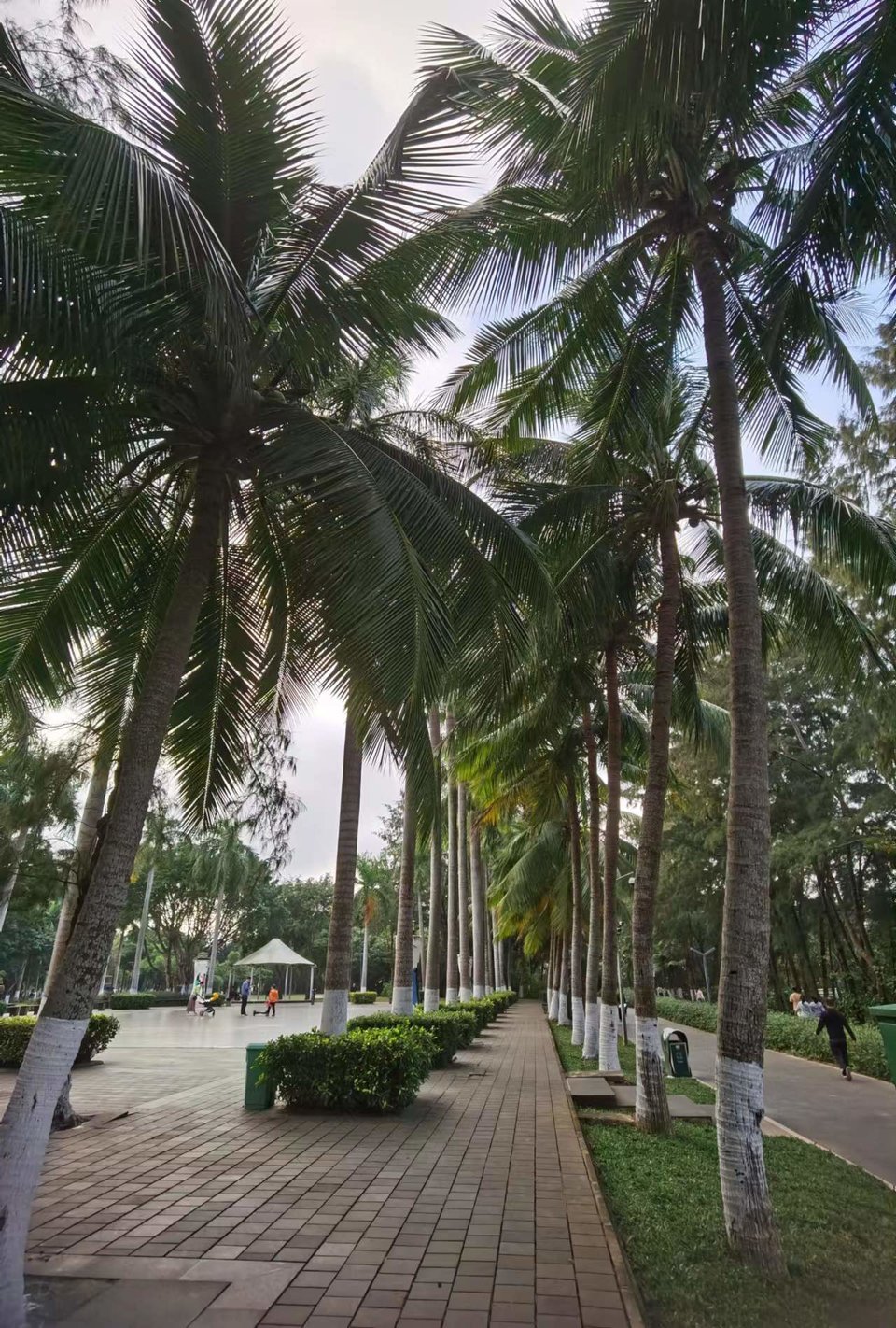 JFUmd40YugPeNQcIF0eD5R6WsGnDHGMrYFCAiLn6VCv8TH03g0bCwKYt5dVtAz6A