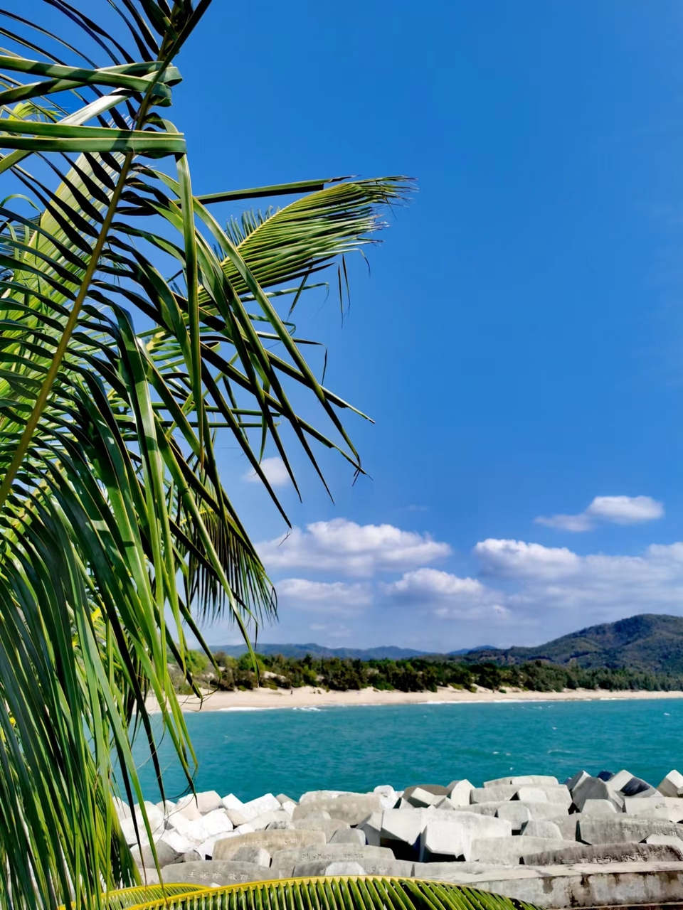 JFUmd40YugPeNQcIF0eD5b5plx7aMmTp2fuwa-8HxEzFyhLXKjMAdd5848VrwMT9