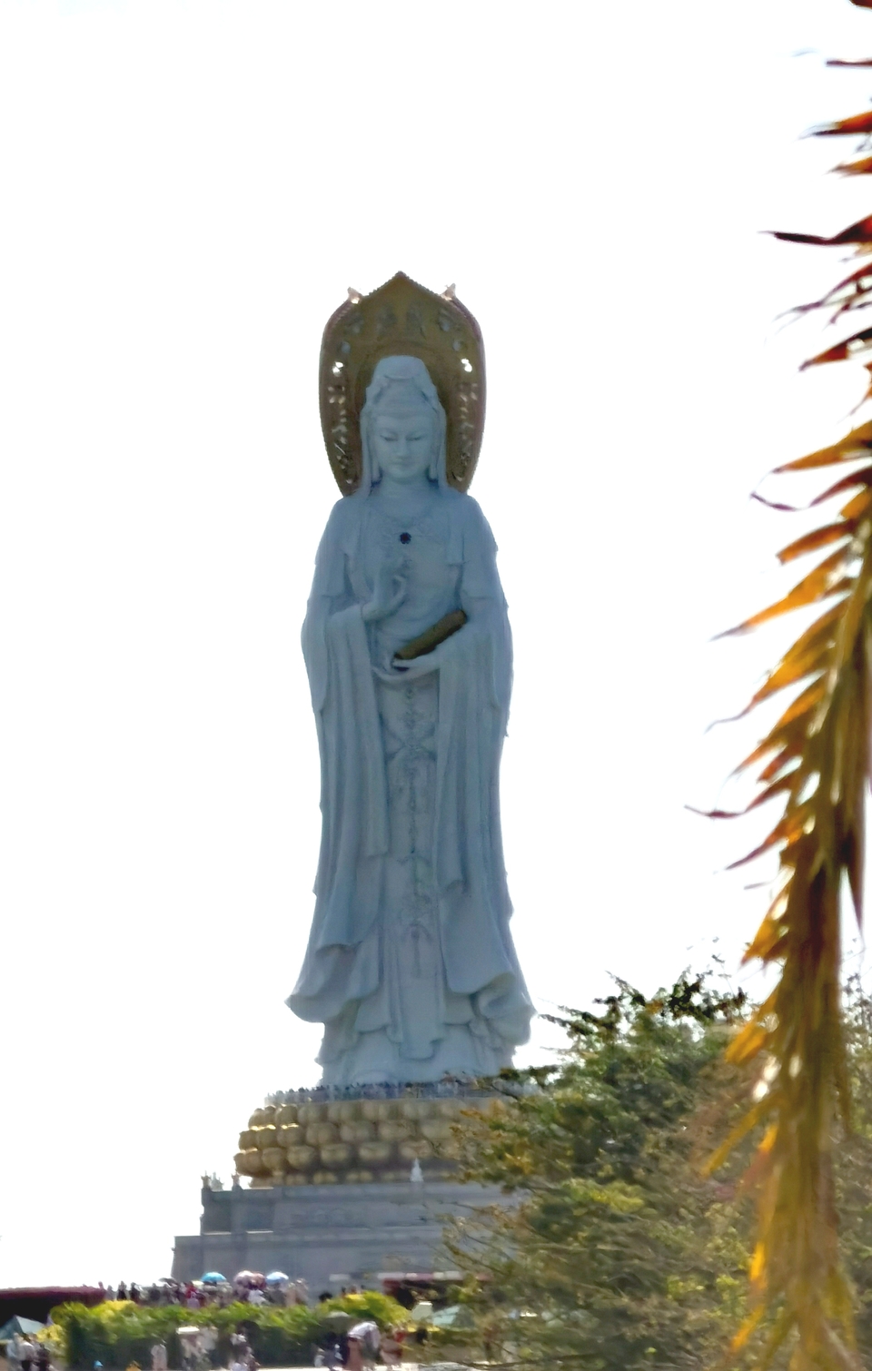 JFUmd40YugPeNQcIF0eD5XzXuo5x8X2DnXPSRUUkFhclQQEuodDhMG1dg202DR4j