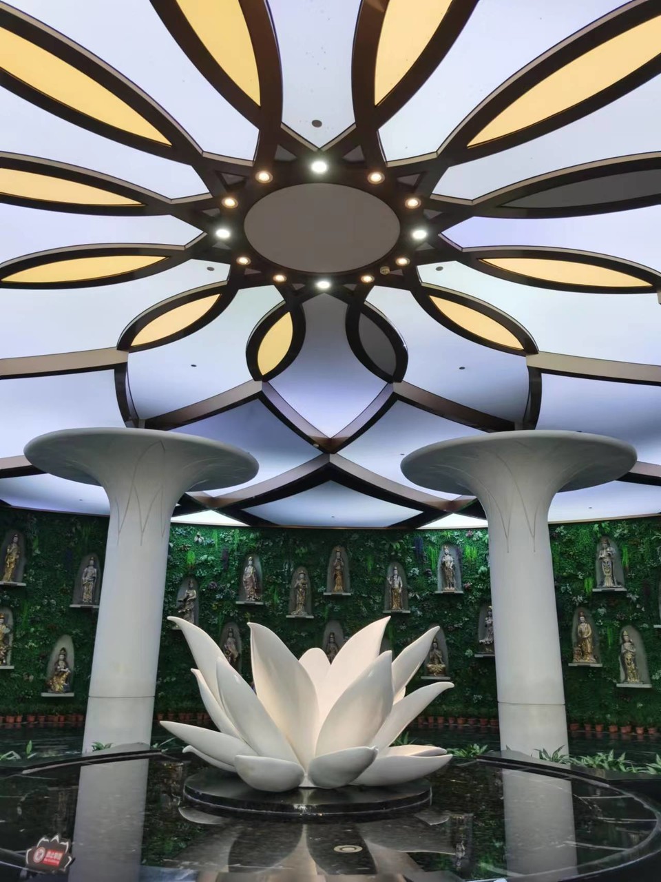 JFUmd40YugPeNQcIF0eD5QVO38X1b6nvrjTyZonfgVtMdnEEofPwzNhQ7GGT5Vfc