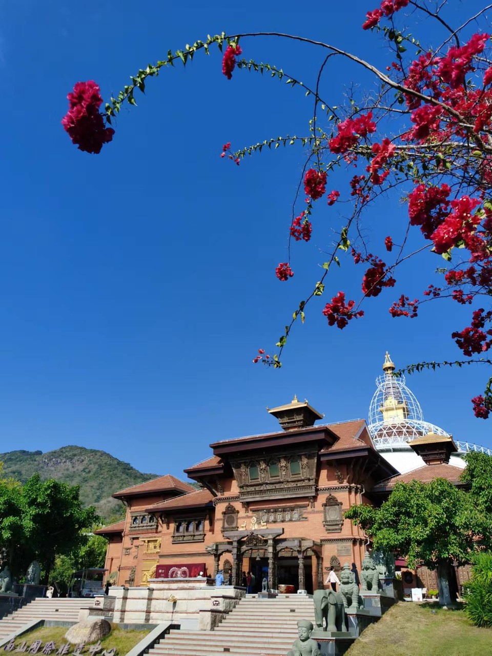 JFUmd40YugPeNQcIF0eD5Srk6wsBJbgzNI6e8bm3SJo37Lhlayq2vNQKWRZSavVA