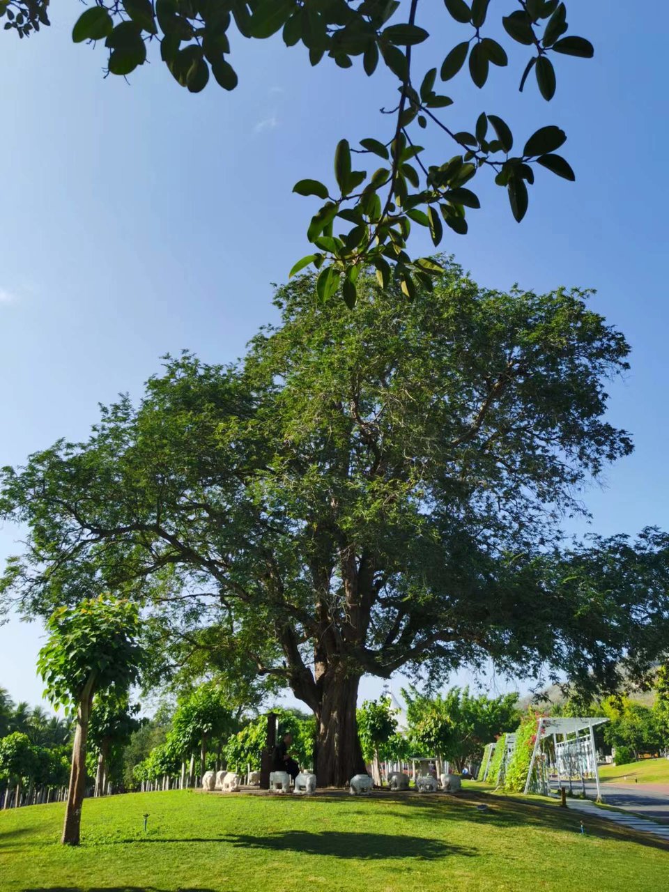 JFUmd40YugPeNQcIF0eD5ZqLYbZ-f57yxRYmamfgDiWza5S8WMkdnihupRMDWzgi