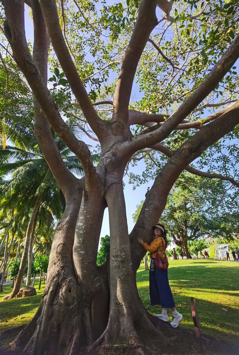 JFUmd40YugPeNQcIF0eD5Z8-ABEXBXembZCzcyo3J_Vxi2sNnqrlfBBufIvJw2W0