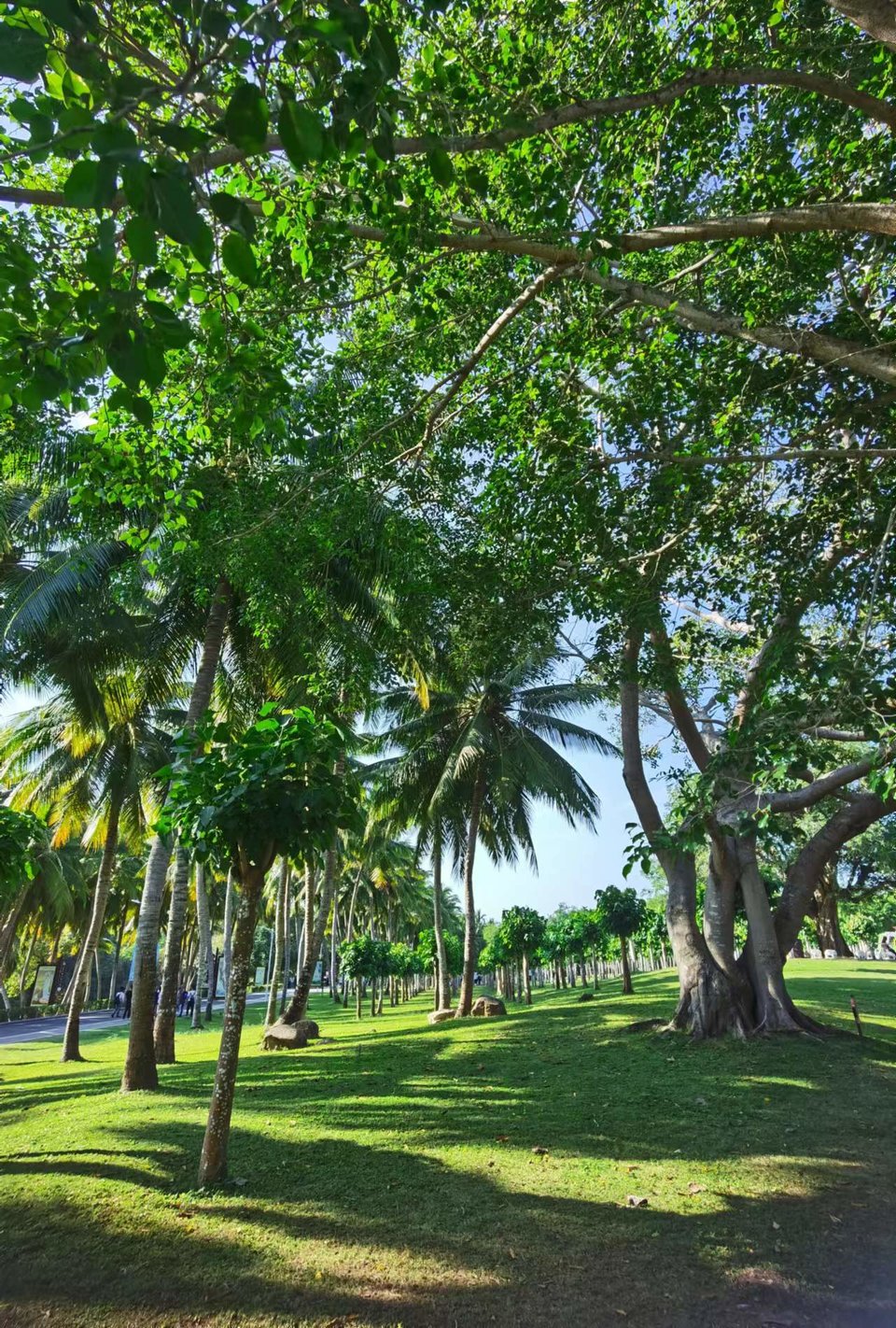 JFUmd40YugPeNQcIF0eD5YxNwRJTfq2XNkKjc4gfEhBAkaSvRZfkJWvZTsQ2ouAZ