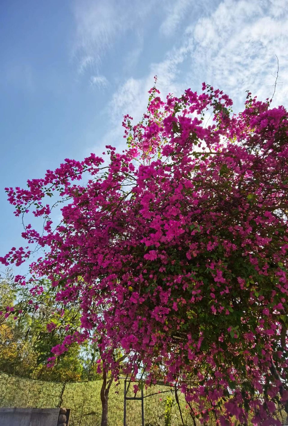 JFUmd40YugPeNQcIF0eD5Xxe79YF9D6O7Ut-s3__vviOuWI36LMQ4ICvSQxZW8XH