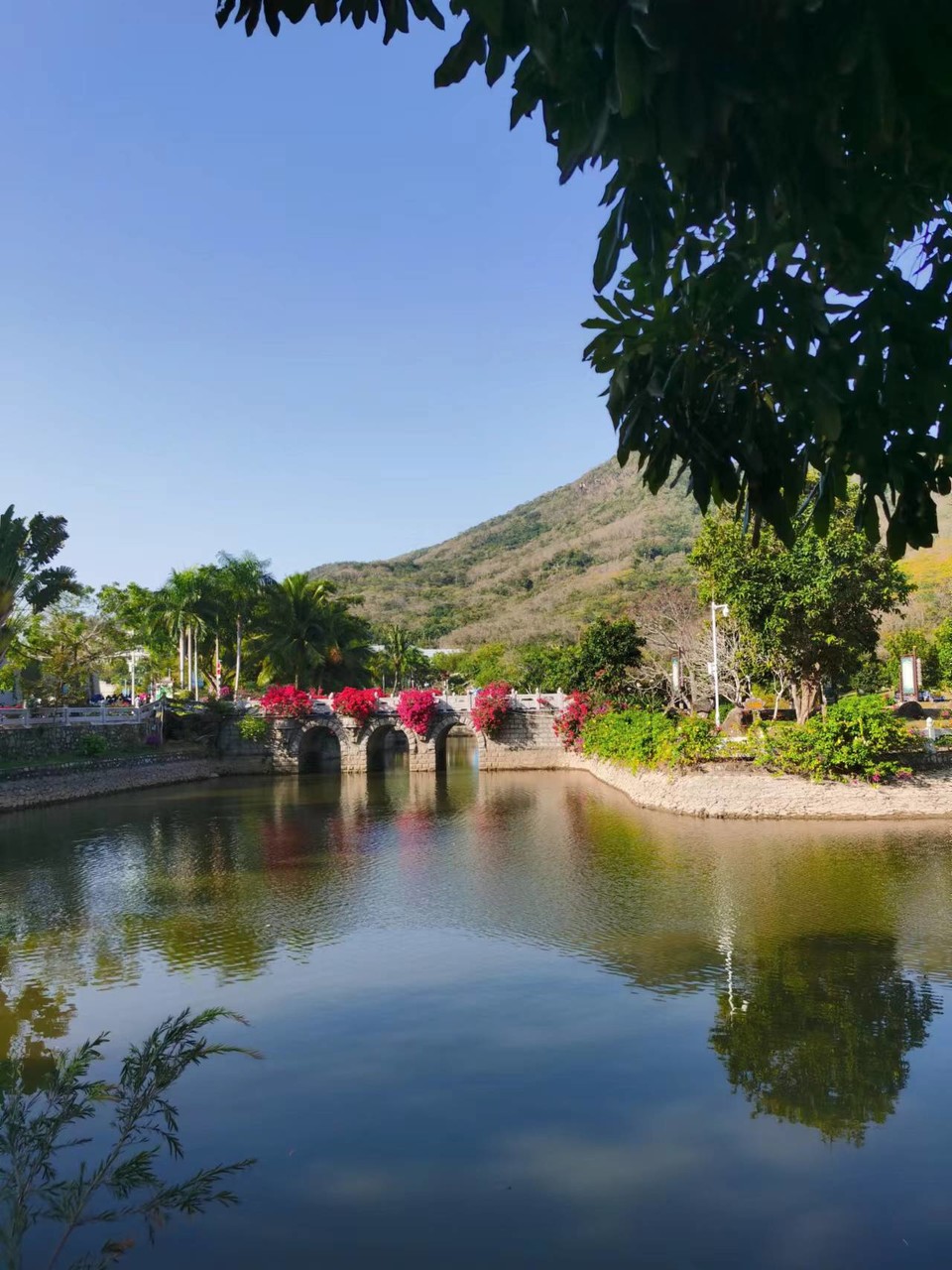 JFUmd40YugPeNQcIF0eD5Z_OkTzgZ-T5u1HTTCWZSOipjpNPbau1F959N4YnoIzo