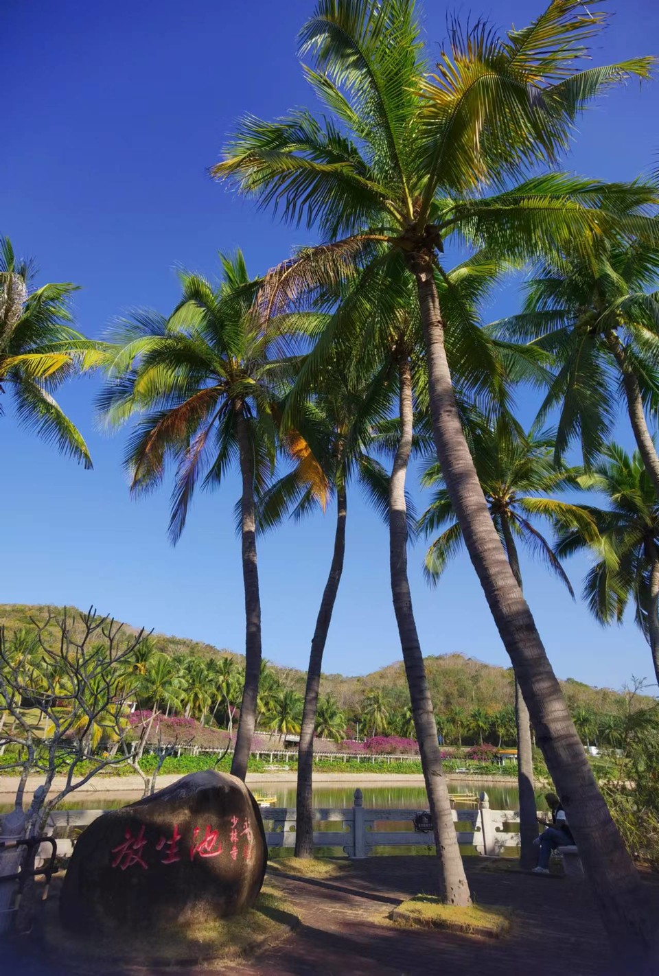 JFUmd40YugPeNQcIF0eD5WMjoslU41bWrEw1ptGNXj6CUGGMtf2OAoXqH8ehWBns