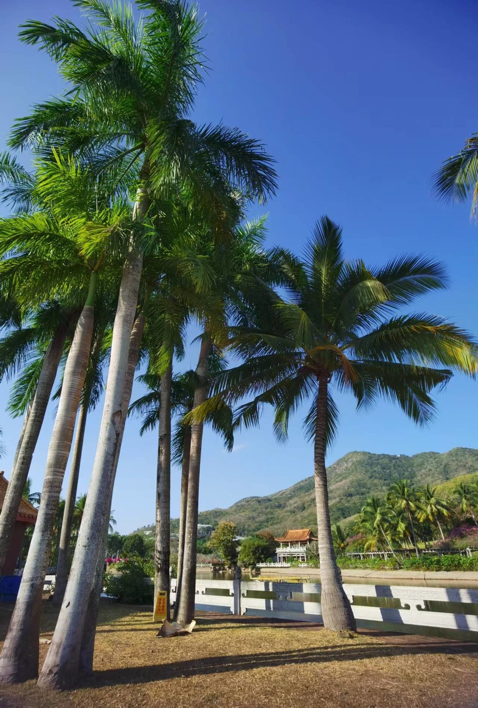 JFUmd40YugPeNQcIF0eD5fjmOSCEs3gQosuyCgiR68HsStBgnZMNF4KmHKoEhIIM