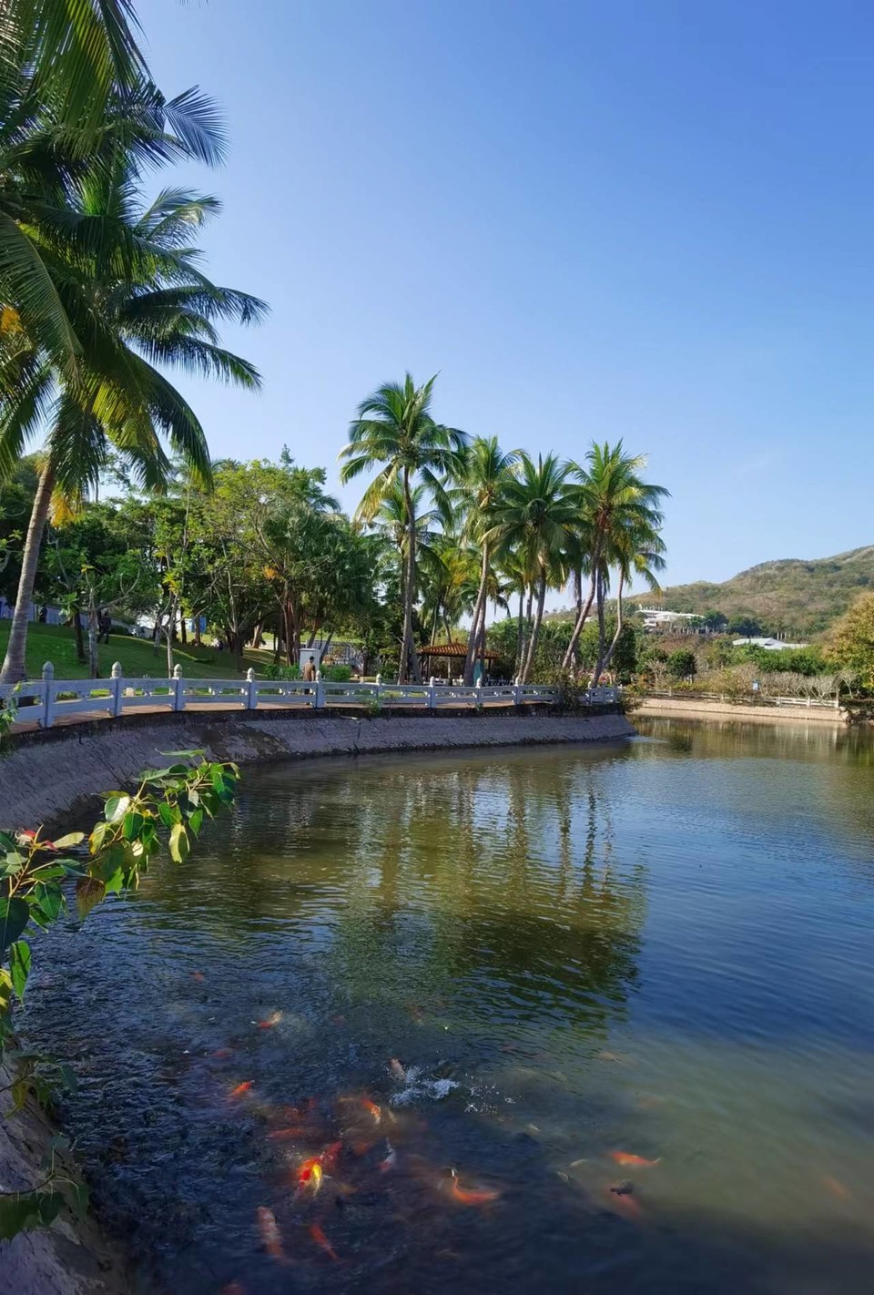 JFUmd40YugPeNQcIF0eD5WdowG8-5KSGYtDTTelImkElvybvragmLMwi8O-gHTFy