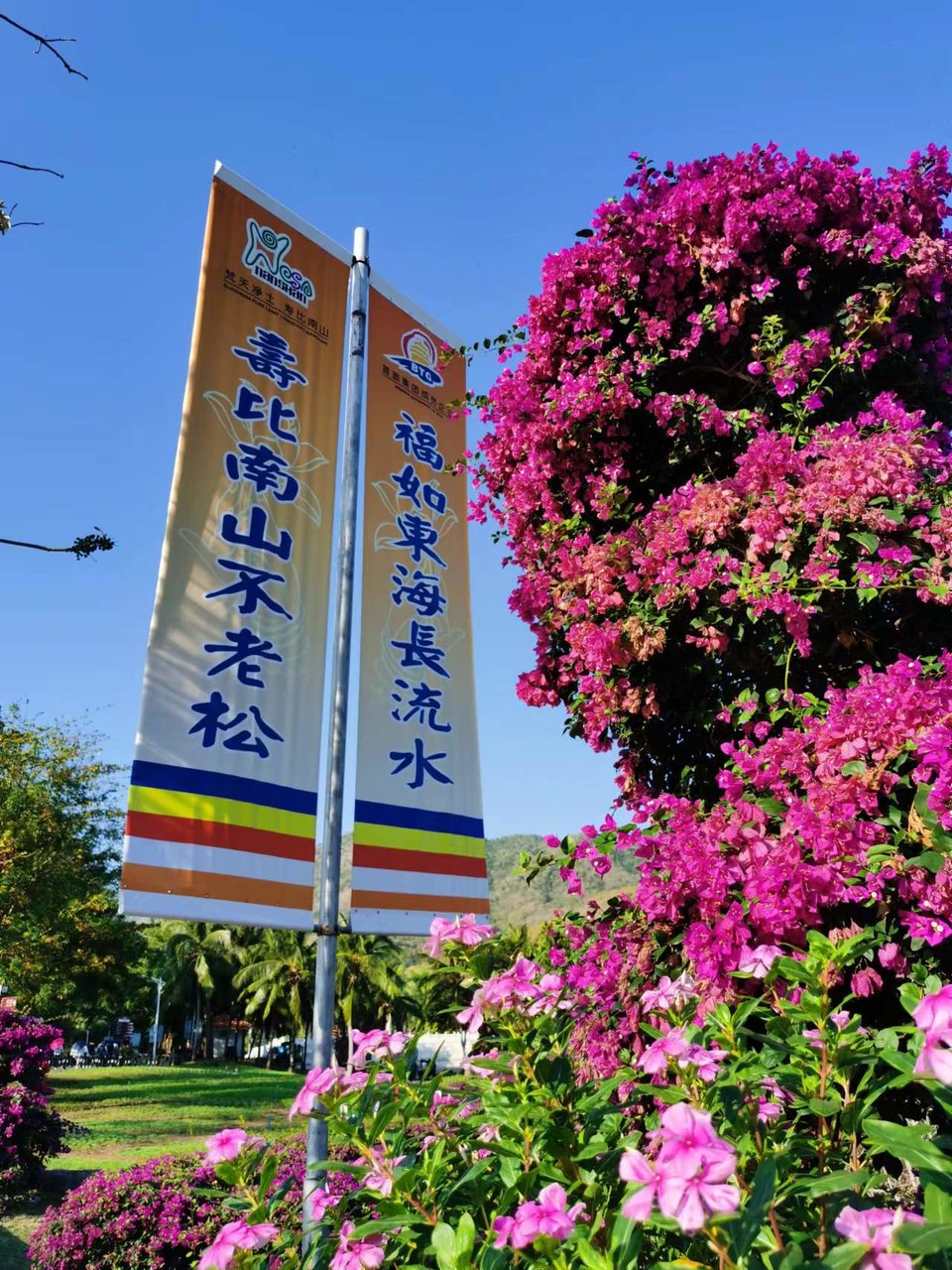 JFUmd40YugPeNQcIF0eD5XdBZwmgLXgPsCWvntOwhNJlQypuYfNqJd0fFtVZECwj