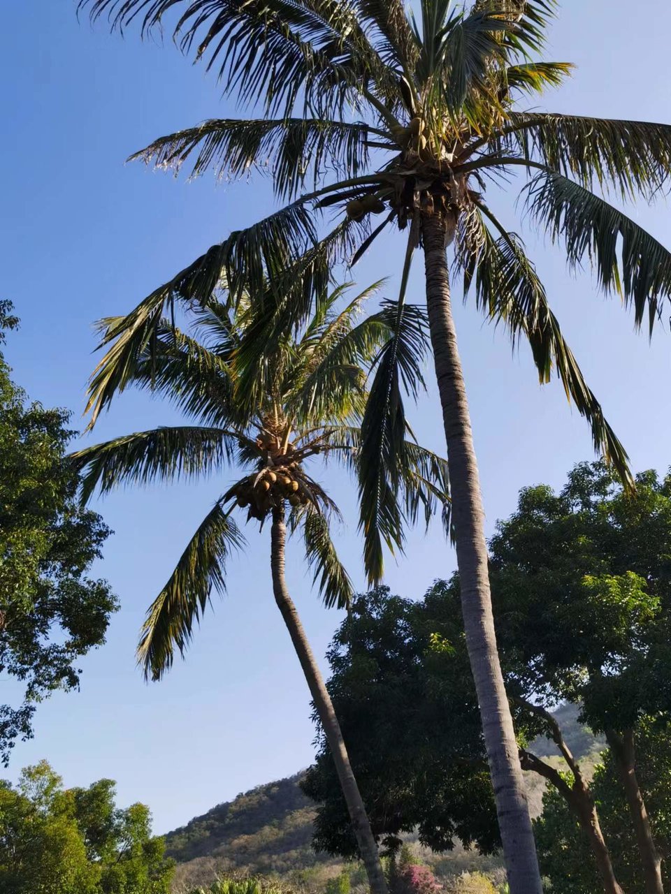 JFUmd40YugPeNQcIF0eD5ZVdEM7bGPRro5PRNS5NM_zSDfFzmHAaERygIO0ptwoz