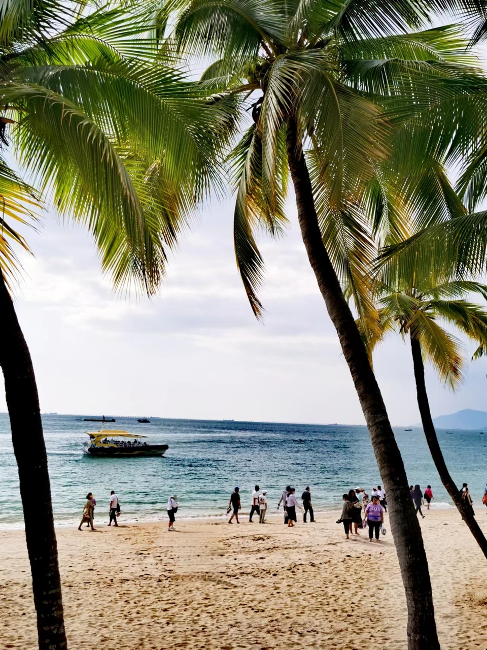 JFUmd40YugPeNQcIF0eD5Tsx8j79jBJoO4wvMauK5YEEivT73_YQP9R5-Fulvajo