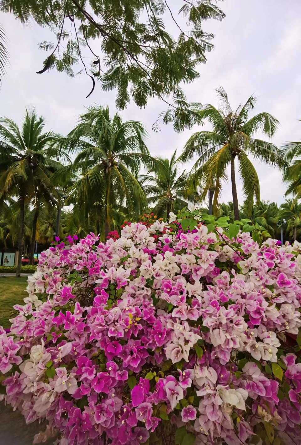 JFUmd40YugPeNQcIF0eD5ZuU7vwUrImYkcRAbiwG1XPeA7-p6pZHnWkXz4VHD97H