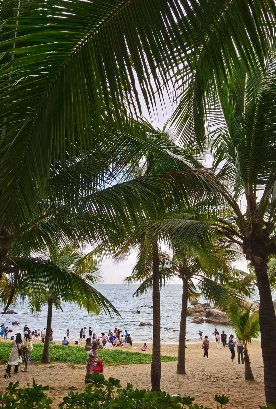 JFUmd40YugPeNQcIF0eD5W0gcx_NT395a-fFSK3UQL0-ux2Na59hTF_k2S8kNOlA